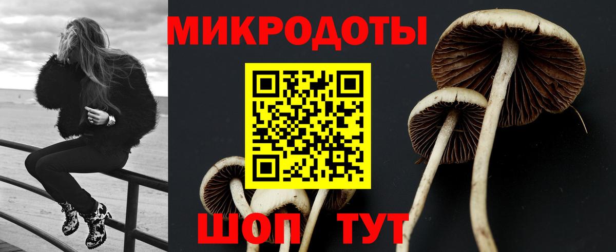 Буйнакск  Галлюциногенные грибы Psilocybe  Вход с VPN 
